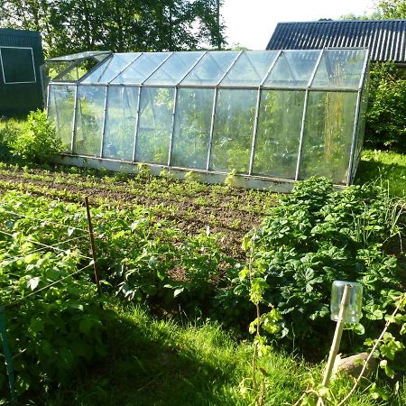 Traumhaftes Luxus-Ferienhaus Warnkenhagen  Exteriör bild