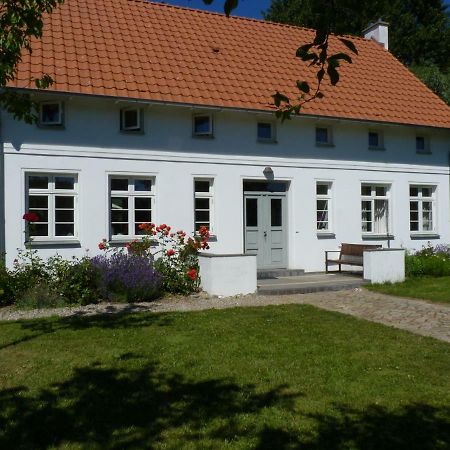 Traumhaftes Luxus-Ferienhaus Warnkenhagen  Exteriör bild
